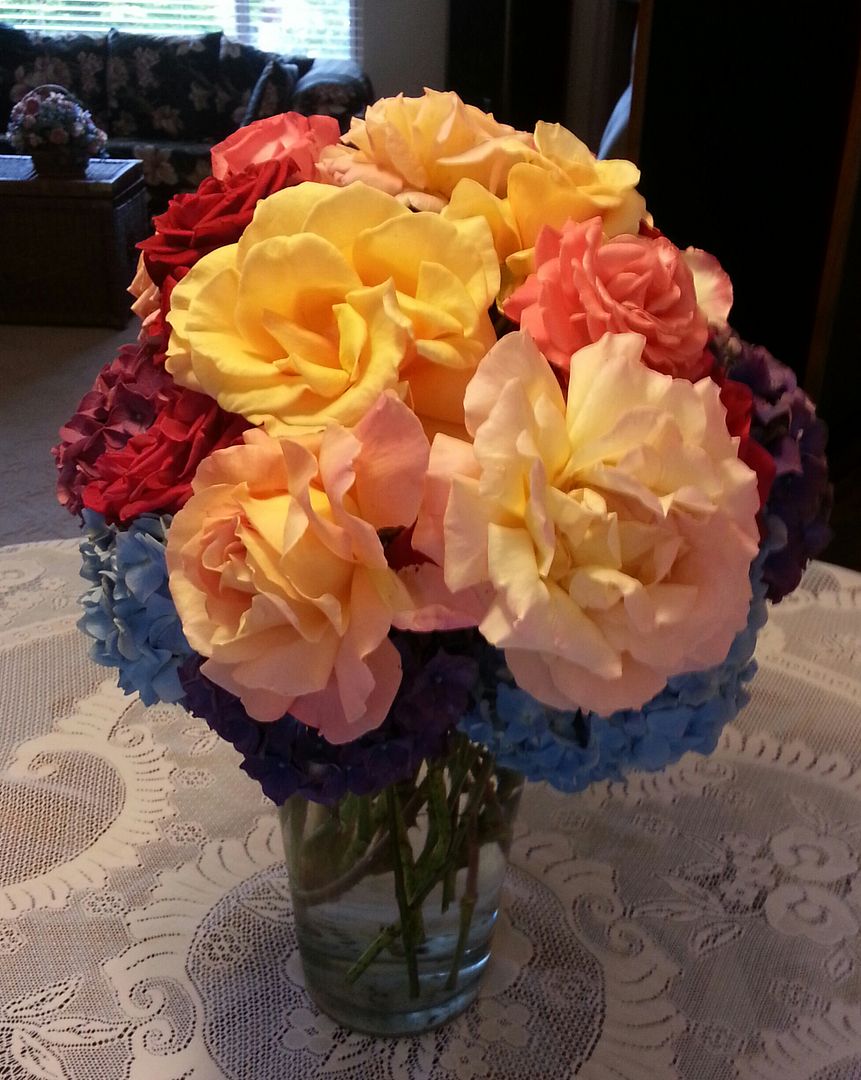  photo 20140629_191808-1_zpst7r3x9gw.jpg